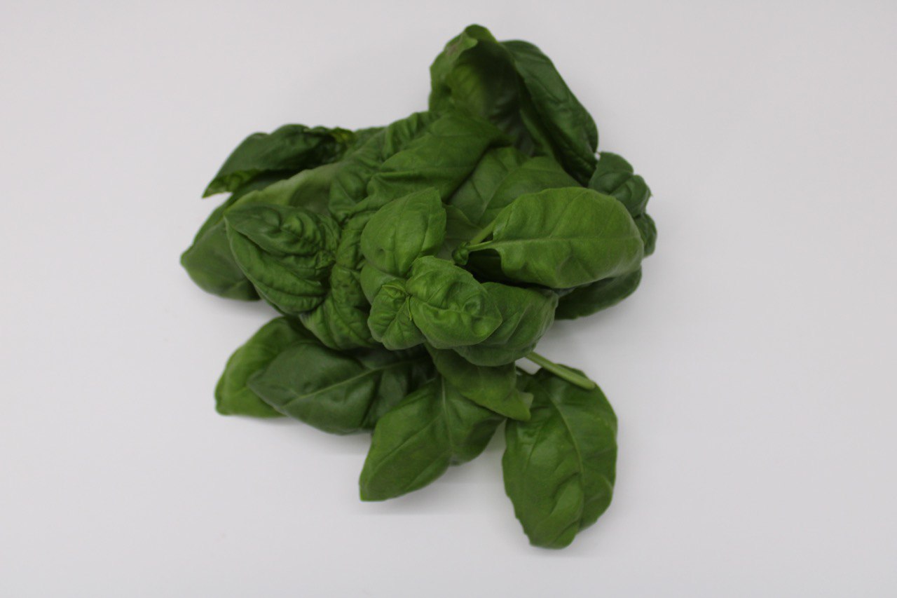 Genovese Basil